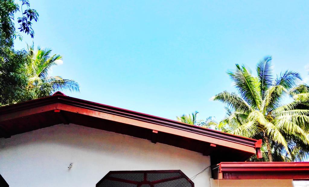 Sevonrich Holiday Resort Dambulla Kültér fotó