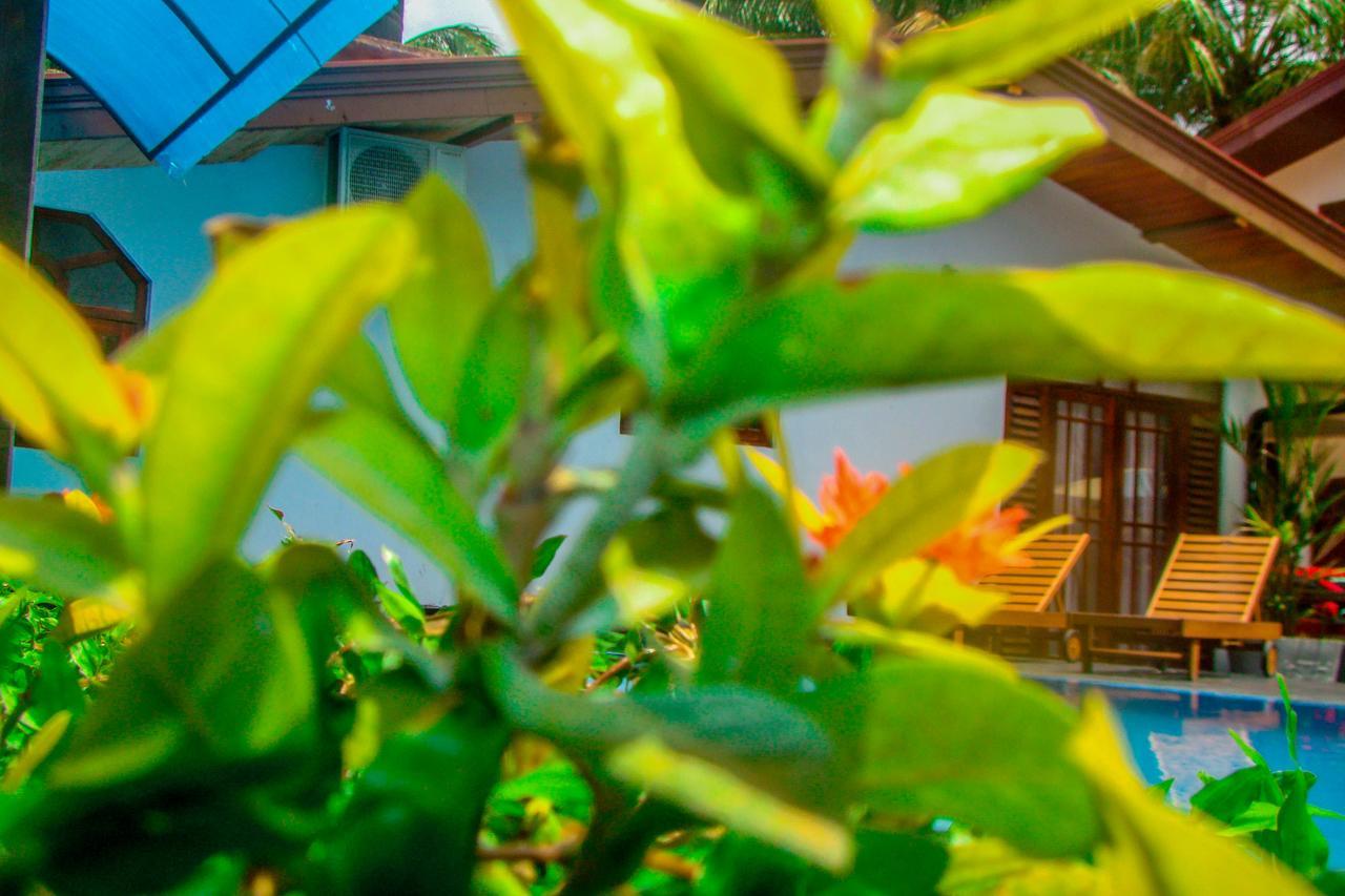 Sevonrich Holiday Resort Dambulla Kültér fotó